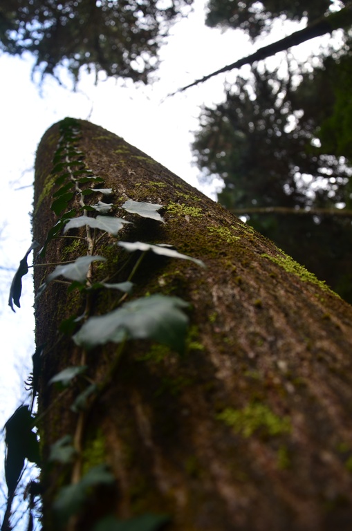 2016-12 France/Rumilly/DSC_0062.JPG